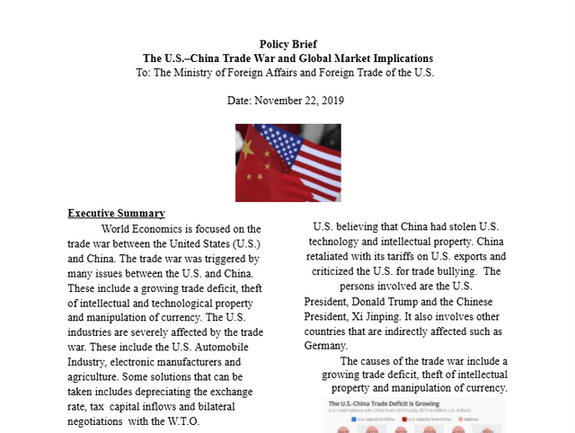 Policy Brief Preview 1